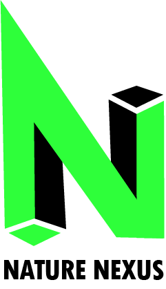 Concept Illustration